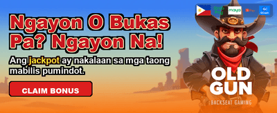 Arion Play Casino Gaming Experience