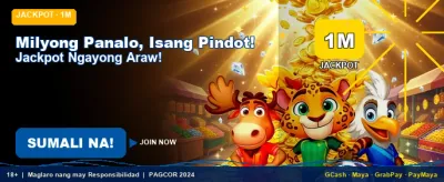 Mega Jackpot Wins